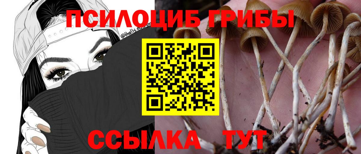 Псилоцибиновые грибы ЛСД  Псилоцибиновые грибы GOLDEN TEACHER  Вход с VPN  даркнет сайт  Волгоград 